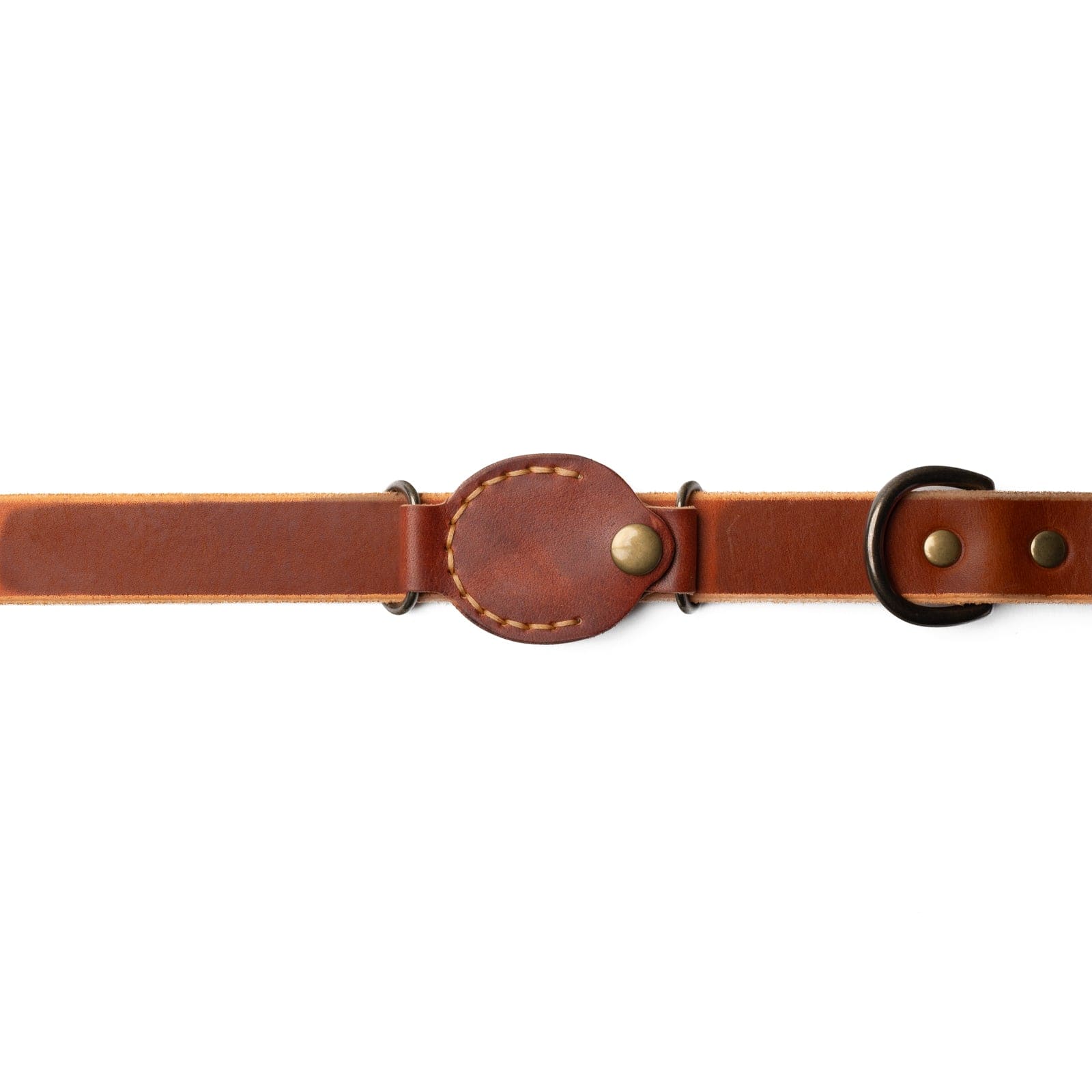 AirTag Dog Collar Companion Popov Leather®