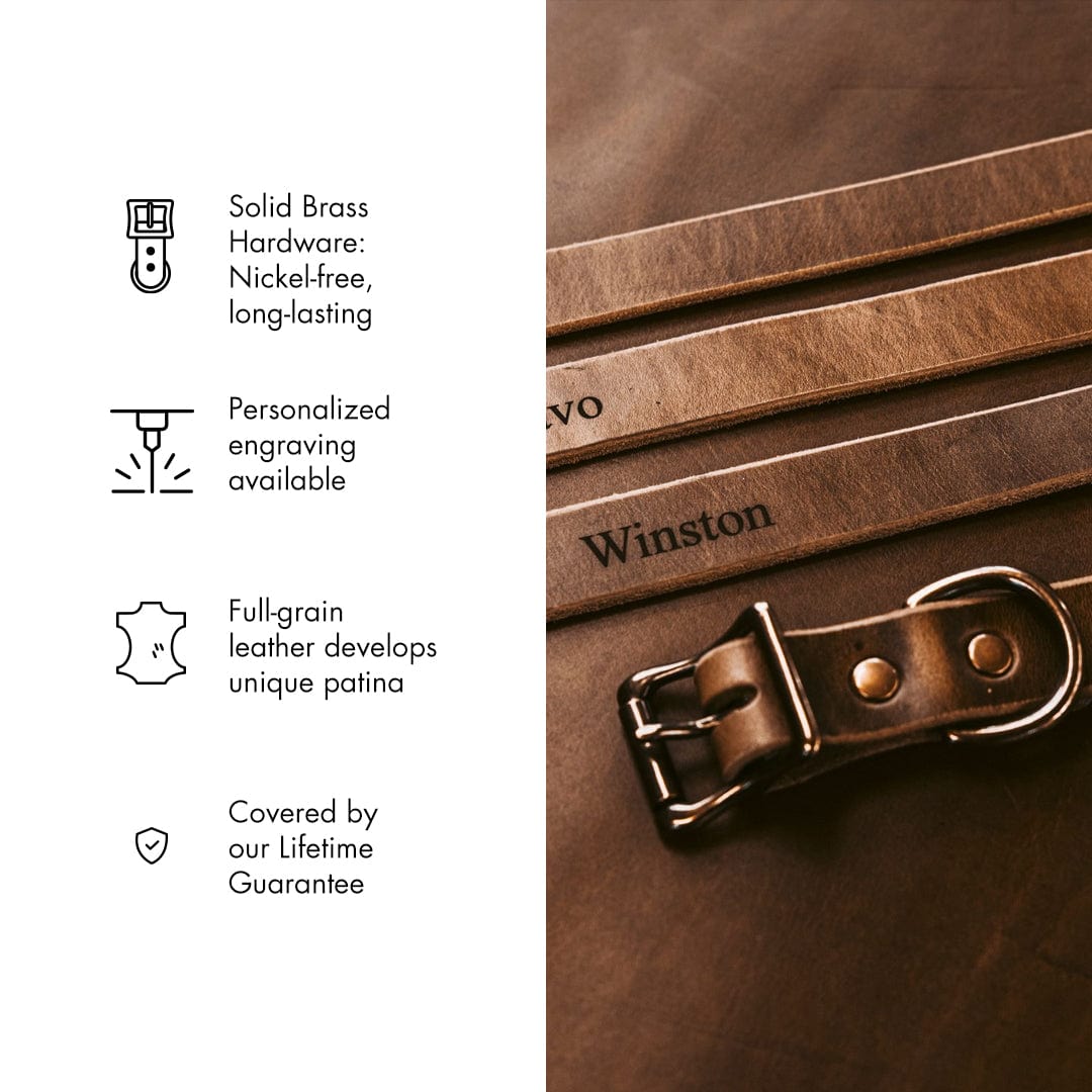 Leather Dog Collar Popov Leather®