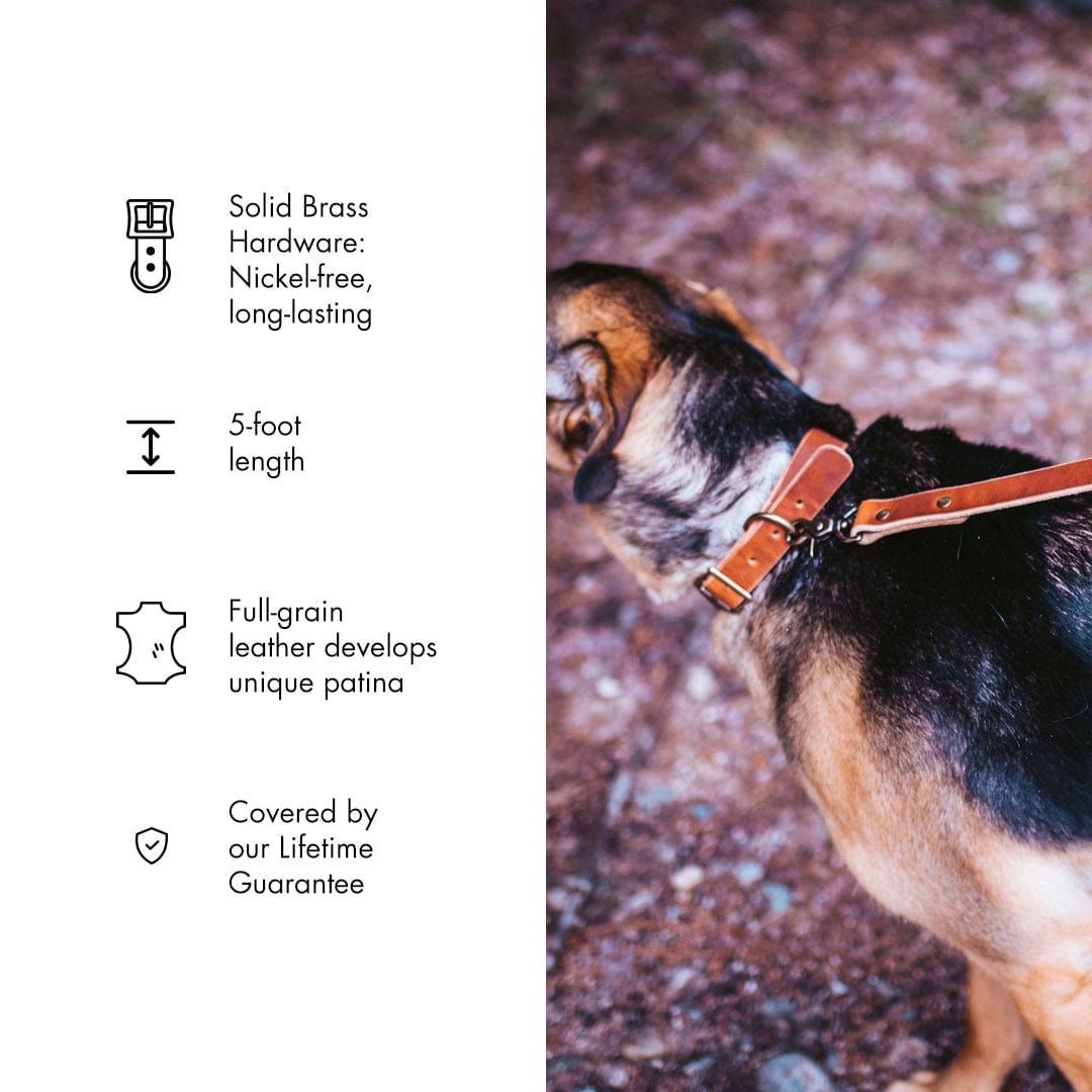 Leather Dog Leash Popov Leather®