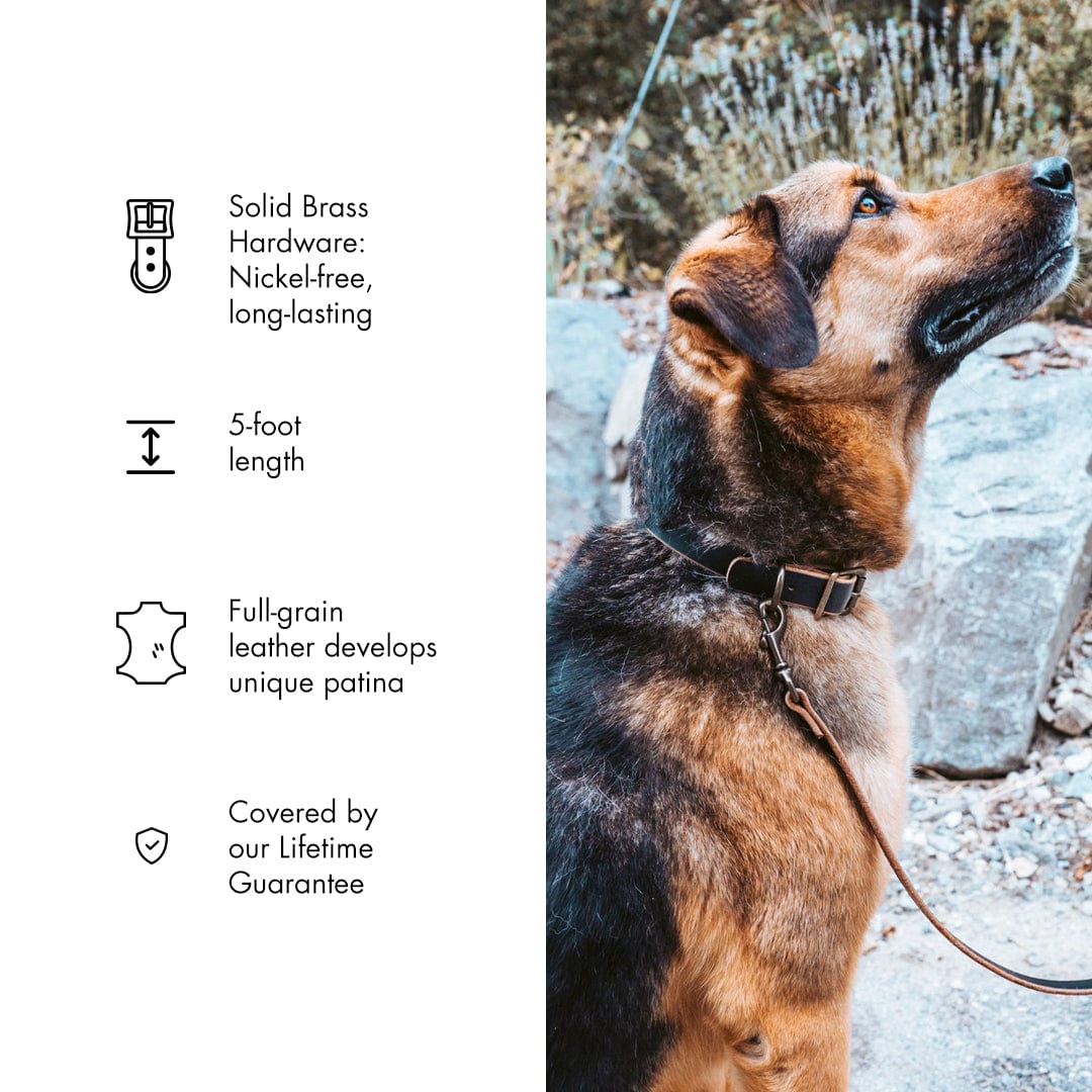 Leather Dog Leash Popov Leather®