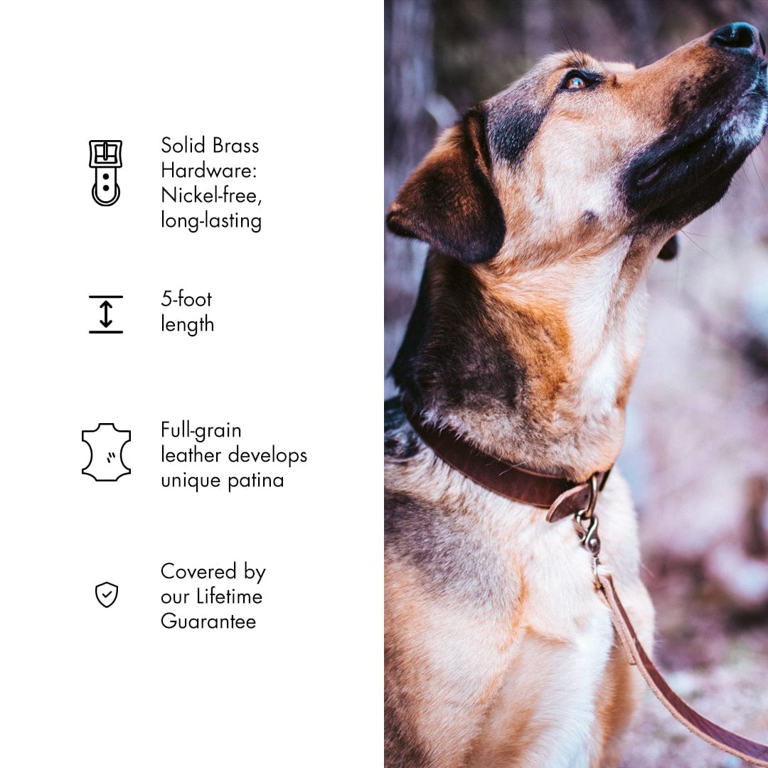 Leather Dog Leash Popov Leather®