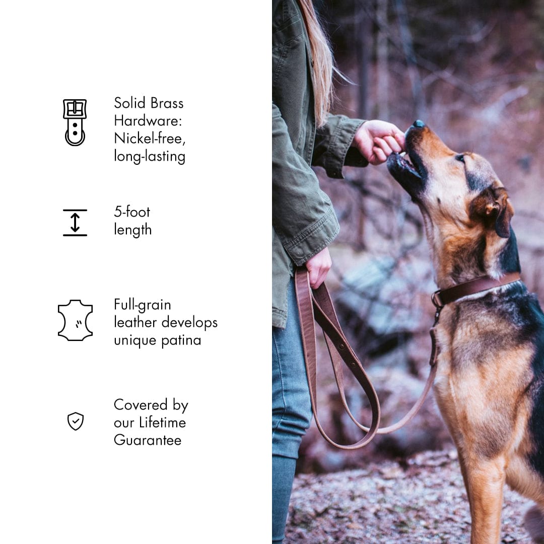 Leather Dog Leash Popov Leather®