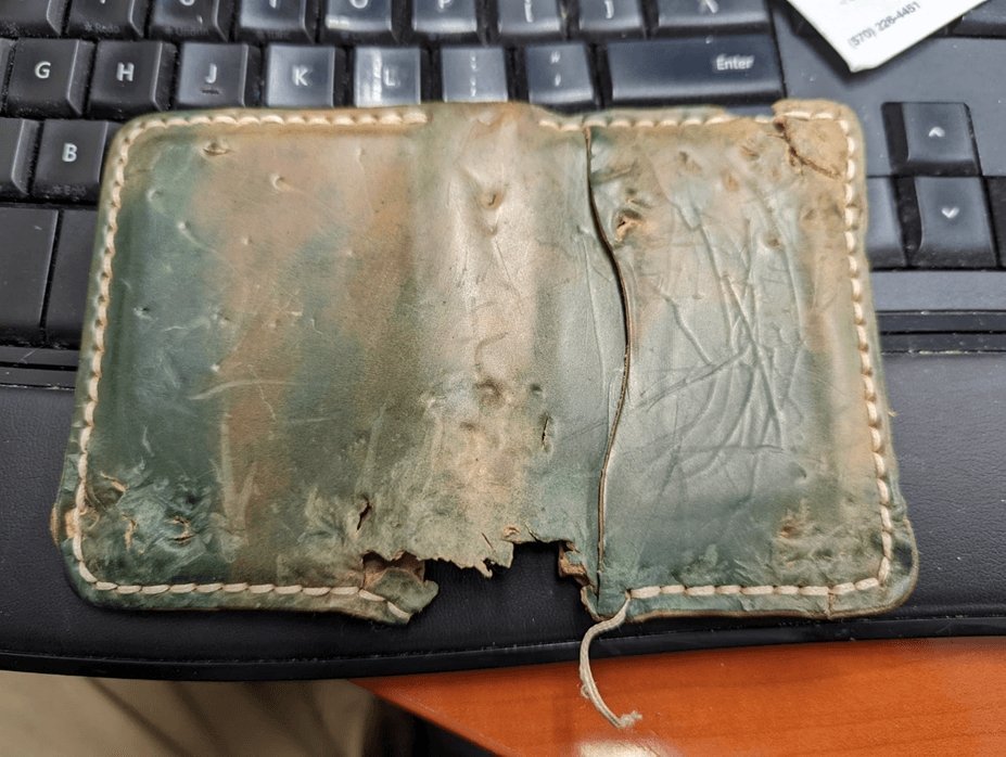 Why Do Dogs Eat Leather Wallets (and What Can You Do About It?) | Popov Leather