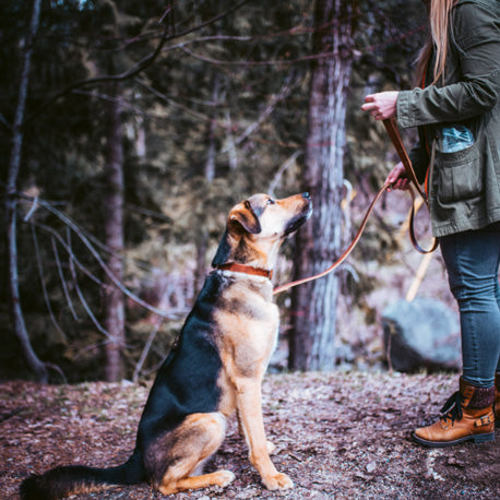 woman with dog on brown leash