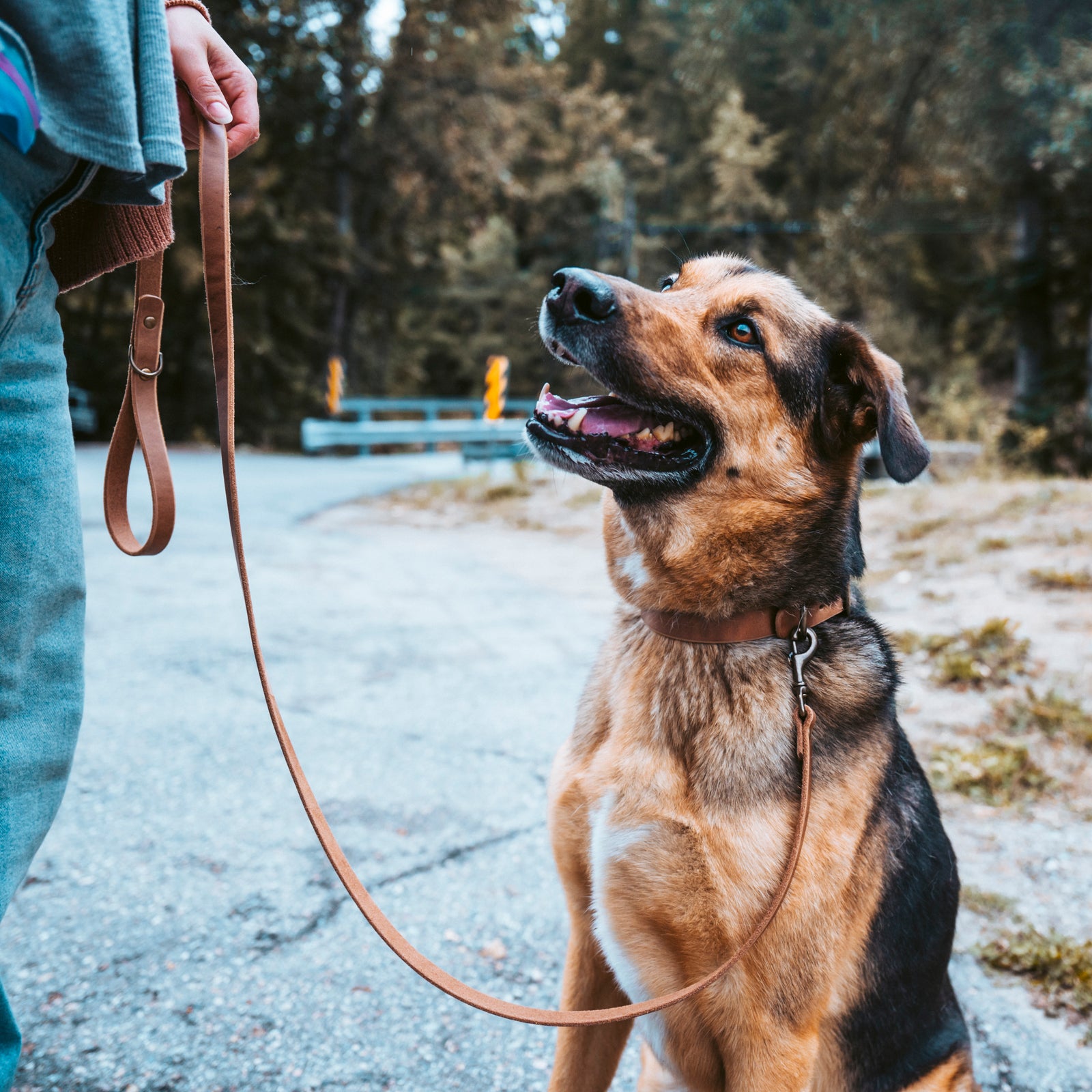 Leather Dog Leashes