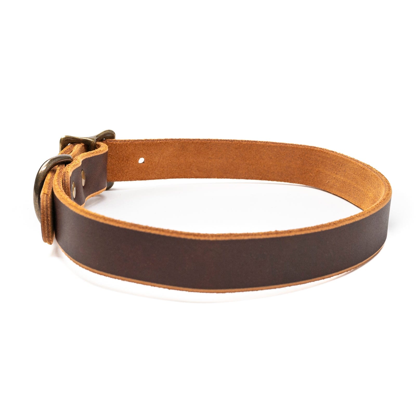 Leather Dog Collar - Heritage Brown Popov Leather