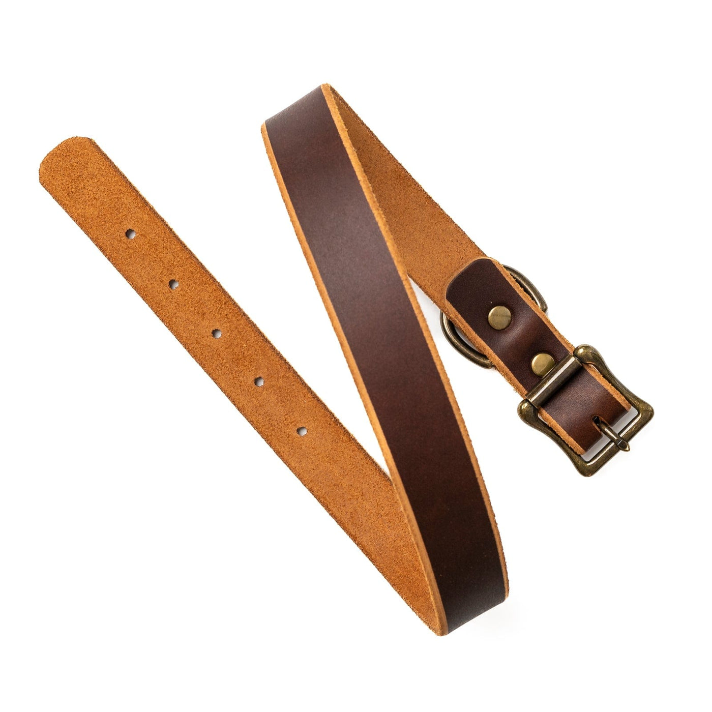 Leather Dog Collar - Heritage Brown Popov Leather